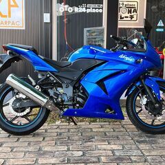 カワサキ Ninja250R 保証付 ブルー 武川バックステップ ETC デイトナバーエンド ニンジャ Kawasakiの画像