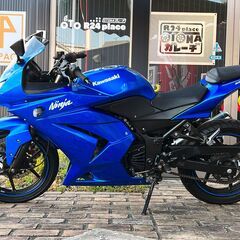 カワサキ Ninja250R 保証付 ブルー 武川バックステップ ETC デイトナバーエンド ニンジャ Kawasakiの画像