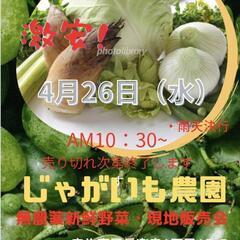 🌽🍉【新鮮やさい即売会やります】🍅🍆　　　　4/26（水）雨天決...