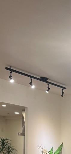 スポットライト　ODELIC