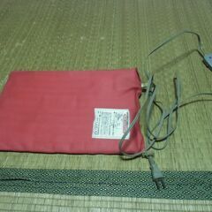 ダック 温熱アンポ （消費電力35Wで経済的）お譲りします。＊石川県＊美川より＊期間限定の画像