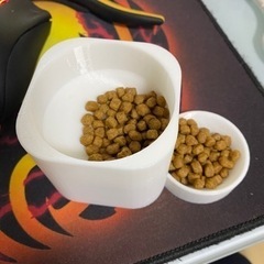 小型犬 長毛類 マルチーズ 専用 食器 茶碗 口汚れ防止