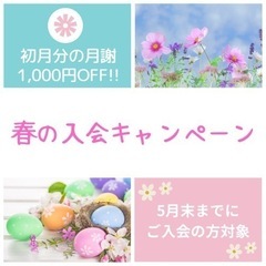 春の入会キャンペーン実施中🌸