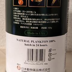 日本動物薬品　ニチドウ　ブラインシュリンプエッグス　20ｇ　缶入り　ソルトレイク産　卵の画像