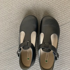箱あり、未使用クロアッサンの靴(コンフォートシューズ)LLの画像