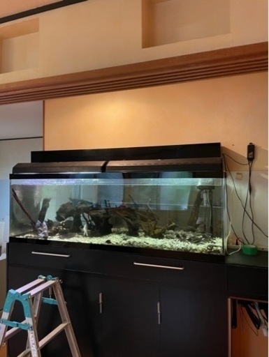 アクリル水槽180㌢