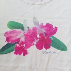 半額美写染Ｔシャツの画像