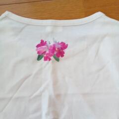 半額美写染Ｔシャツの画像