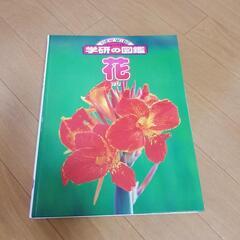 花の図鑑