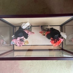 日本人形(中古品) 無料でお譲りしますの画像