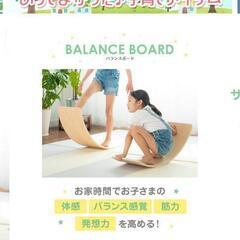 バランスボートの画像