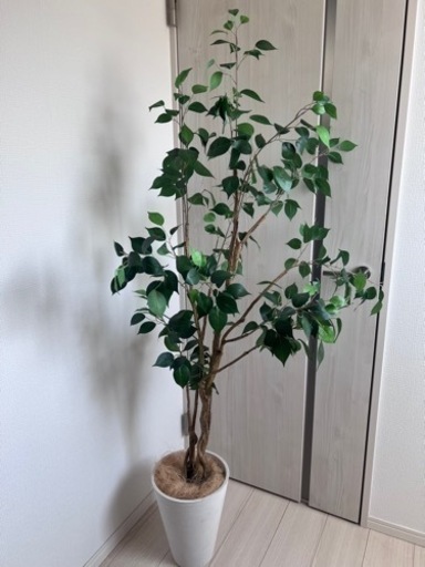 フェイクグリーン 観葉植物