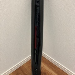 穴釣り用　釣竿の画像