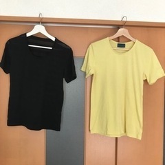 Tシャツ　2枚　重ね着　黒は透け感の画像