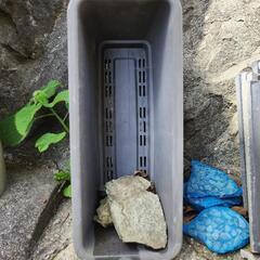 園芸用タンブラー4個の画像