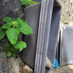 園芸用タンブラー4個