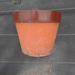 【激安】植木鉢お譲り先募集中!!

