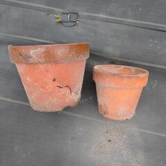 【激安】植木鉢お譲り先募集中!!

の画像