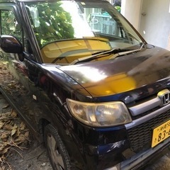ゼストスポーツ