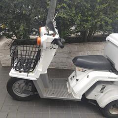 ホンダ　ジャイロX  TDR01　白