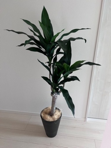 【まさ様取引中】フェイクグリーン観葉植物