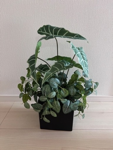 フェイクグリーン‬観葉植物