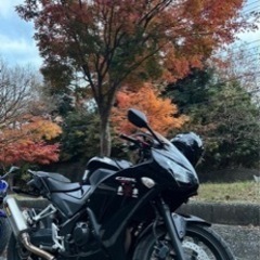 CBR250R(MC41) 後期2眼