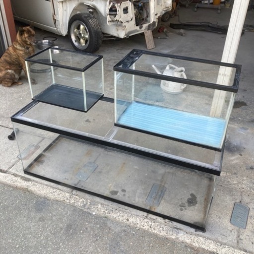 大きなアクリル水槽　早いも勝ち　W1200✖️D450✖️H450 おまけつき