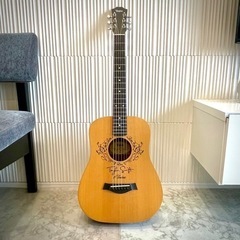 【初心者向け】Taylor Swift アコースティックギター【...