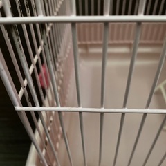 ご相談中　2階建て　小動物飼育ゲージの画像