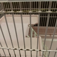 ご相談中　2階建て　小動物飼育ゲージの画像