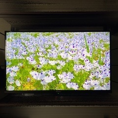 ハイセンス　32V型　ハイビジョン　液晶テレビ　32A30Gの画像