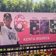 野球（ソフトボール）で助っ人で参加したい！