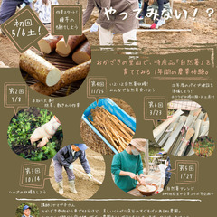 “いったーん” 自然薯農家やってみない！？