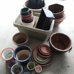 植木鉢いろいろ•受け皿　お取り引き中です