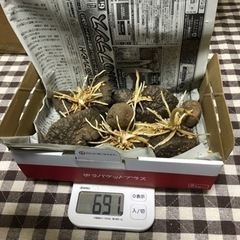 [週末限定値下げ]無農薬　宇宙芋(エアポテト) 種芋　0419