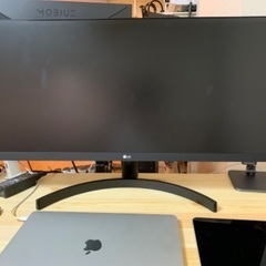 LG ウルトラワイドディスプレイ 29WL500-B