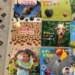 絵本　チャイルド　ビッグサイエンス　12冊　さる