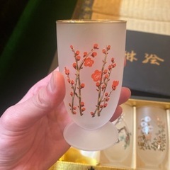 川村硝子工芸 光琳絵 和柄 グラス ビアグラス コップ 5客セット 尾形光琳  新品未使用の画像
