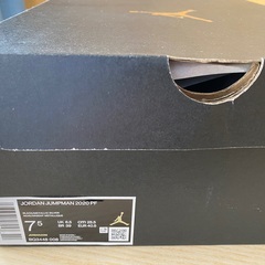 JORDAN JUMPMAN ジョーダン ジャンプマン 2020 PF