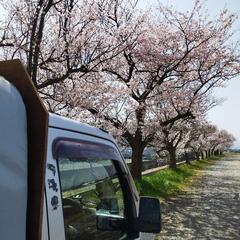 キャンプ・車中泊仲間が欲しい！
