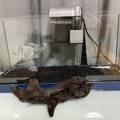 すぐに飼育できます👍900スリム水槽　その他セットの画像