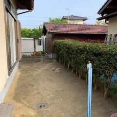 お庭の消毒いたします。格安！！