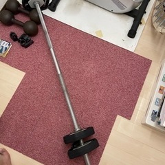 28mmバーベルシャフト。カラー付き。プレート20kg ダンベル...