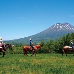 １万円！日払い！週払い！OK！！　アパート無料　夢の大自然ニセコのすぐちかくでリゾート農業のお手伝い！！の画像