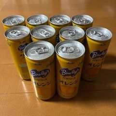 バヤリースオレンジ245g 29本