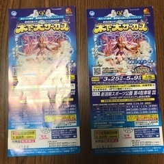 木下大サーカスチケット　2枚