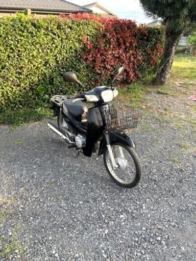 530. 動画あり　ホンダ　AA04スーパーカブ　原付　バイク　50cc   車体