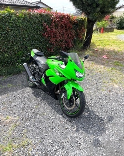 531.  動画あり　ニンジャ250R EX250K  バイク　250cc 車体