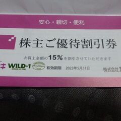 カンセキ　WILD-1　株主優待券　1枚　キャンプ用品にも